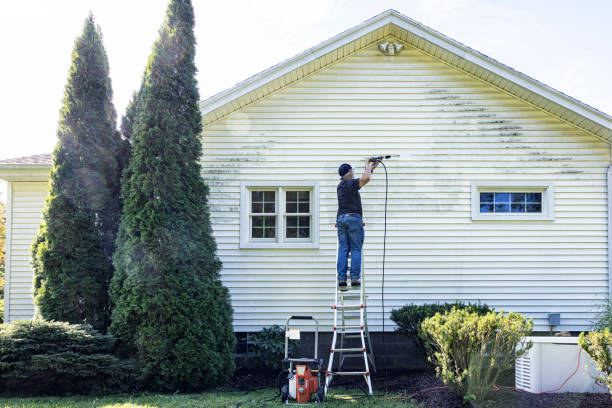 Best Local Pressure Washing Services  in Gibsonburg, OH