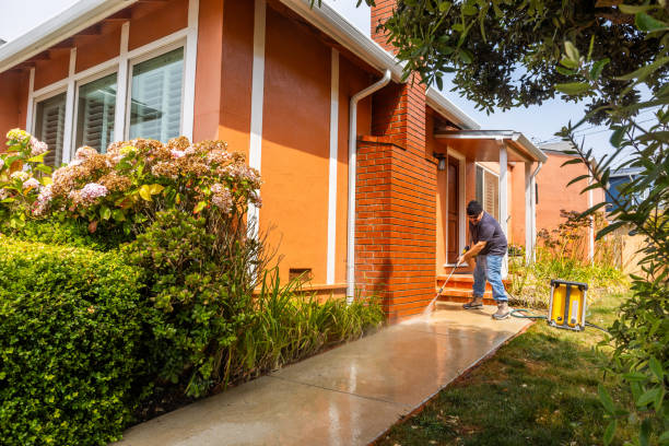 Best Roof Pressure Washing  in Gibsonburg, OH